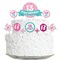 Big Dot of Happiness Girl 13th Birthday - Official Teenager Birthday Party Cake Decorating Kit - Happy Birthday Cake Topper Set - 11 Pieces